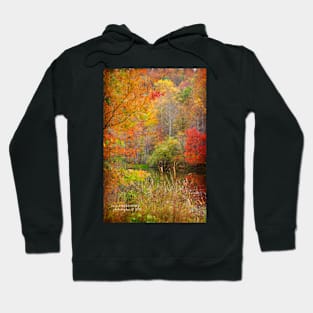 Fabulous October #4 Hoodie